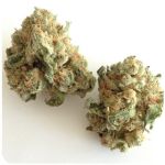 Шишки "White Widow"  (Белая вдова)  Гидропоника -  Бошка VHQ в Домодедово