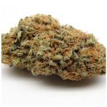 Шишки AK47 (Гидропоника, Бошка) VHQ в Домодедово Шишки AK47 (Гидропоника, Бошка) VHQ в Домодедово