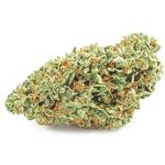 Шишки OG Kush (Гидропоника, бошки) VHQ в Домодедово Шишки OG Kush (Гидропоника, бошки) VHQ в Домодедово